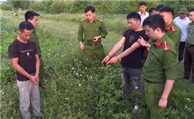 Thanh Hóa chỉ đạo xử lý nghiêm vụ xâm phạm lăng mộ vua Lê Túc Tông