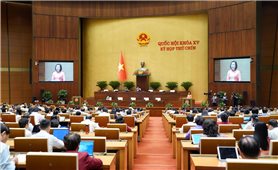 Rút ngắn nhiệm kỳ Quốc hội khóa XV và Hội đồng nhân dân các cấp nhiệm kỳ 2021 - 2026 trước 3 tháng