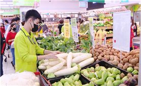 Quảng Nam tăng cường kiểm tra, xử lý vi phạm về an toàn thực phẩm và thuốc chữa bệnh giả