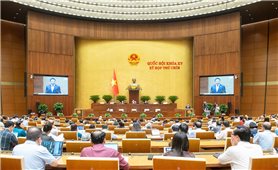 Trình Quốc hội xem xét cơ chế, chính sách đặc thù phát triển thành phố Hải Phòng