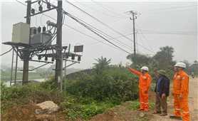 Công ty Điện lực Hòa Bình: Tăng cường giải pháp đảm bảo hành lang an toàn lưới điện