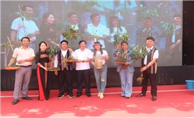 Tri thức dân gian về sâm Ngọc Linh được công nhận là Di sản văn hóa phi vật thể quốc gia