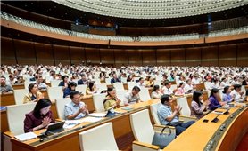 Quốc hội thảo luận về dự thảo Nghị quyết về cơ chế, chính sách phát triển kinh tế tư nhân
