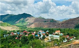 Bình Định: Phấn đấu giảm 3 - 4% tỷ lệ hộ nghèo đồng bào DTTS trong năm 2025