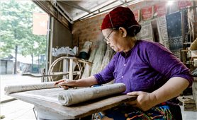 Sắc hoa thổ cẩm trên 