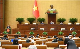 Bộ luật Hình sự (sửa đổi): Nâng mức hình phạt tù đối với tội phạm về môi trường, ma túy và vi phạm quy định về an toàn thực phẩm
