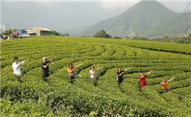 Định vị thương hiệu 