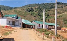 Kon Tum: Giao gần 5,9ha đất cho huyện Đăk Glei phục vụ chỗ ở ổn định cho người dân di cư tự phát