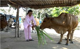 Khánh Hòa: Phấn đấu mức giảm tỷ lệ nghèo đa chiều năm 2025 đạt từ 1 - 1,5%/năm