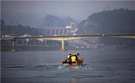Phát hiện, trục vớt khối lượng lớn bom, đạn gần cầu Hòa Bình