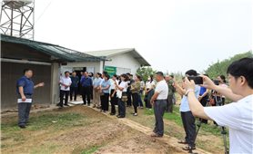 Xây dựng vùng chăn nuôi an toàn dịch bệnh: Chìa khóa nâng cao năng lực cạnh tranh ngành chăn nuôi Việt Nam