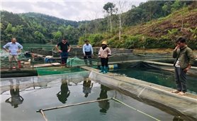 Văn Lãng (Lạng Sơn): Đa dạng hóa các mô hình giảm nghèo