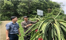 Bảo Yên bứt phá sau 5 năm thực hiện Nghị quyết Đại hội Đảng bộ huyện