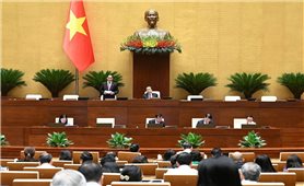 Luật Dẫn độ: Đẩy mạnh chiến lược hoàn thiện pháp luật, cải cách tư pháp và tăng cường hội nhập quốc tế