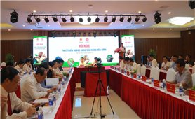 Bàn giải pháp phát triển sầu riêng bền vững