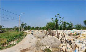 Quảng Ninh chủ động tu bổ đê điều trước mùa mưa bão