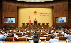 Trình Quốc hội dự án Luật Tương trợ tư pháp về hình sự