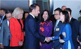 Phát triển quan hệ Việt Nam-Pháp đi vào chiều sâu, hiệu quả