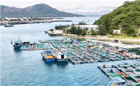 Bình Định: Lập quy hoạch khu đô thị, nghỉ dưỡng, bến siêu du thuyền 5.200 ha