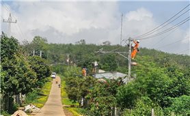 PC Kon Tum triển khai 24 công trình sửa chữa lớn năm 2025