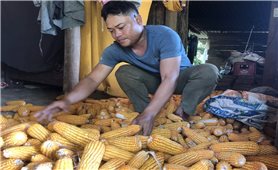 Trưởng thôn 