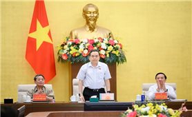 Phát huy trí tuệ và trách nhiệm cao nhất đối với cử tri và đất nước