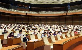 Khuyến khích, thúc đẩy hoạt động sử dụng năng lượng tiết kiệm và hiệu quả
