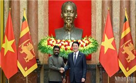 Chủ tịch nước Lương Cường hội đàm Tổng thống Sri Lanka Anura Kumara Dissanayaka