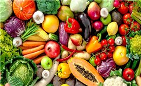 Chế độ dinh dưỡng cho người viêm da cơ địa
