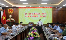 Bình Định: Giám sát chặt chẽ tàu cá chưa đủ điều kiện khai thác thủy sản