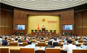 Trình Quốc hội dự thảo Nghị quyết của Quốc hội sửa đổi, bổ sung một số điều của Hiến pháp năm 2013