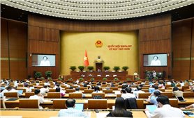Phân định rõ thẩm quyền của chính quyền địa phương 2 cấp, xây dựng chính quyền phục vụ tốt hơn nhu cầu của người dân trên địa bàn