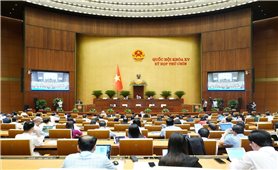 Hỗ trợ tạo việc làm, duy trì, mở rộng việc làm đối với người dân tộc thiểu số