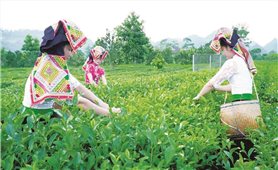 Thoát nghèo nhờ Chương trình MTQG 1719