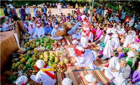 Ninh Thuận chi hơn 10 tỷ đồng bảo tồn Lễ hội Katê của đồng bào Chăm