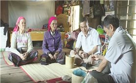 “Bất chấp định mệnh”