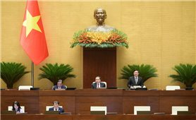 Thực hiện việc tinh gọn, sắp xếp lại bộ máy Viện kiểm sát nhân dân từ mô hình 04 cấp thành 03 cấp