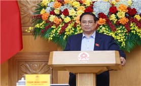 Thủ tướng: Thiết kế chính sách để đổi mới sáng tạo phát triển kinh tế tư nhân 
