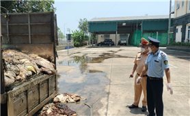 Thanh Hóa: Tiêu hủy gần 5 tấn da trâu, bò không rõ nguồn gốc xuất xứ