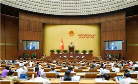 Luật Doanh nghiệp góp phần cải thiện môi trường đầu tư kinh doanh, nâng cao hiệu lực quản lý Nhà nước đối với doanh nghiệp