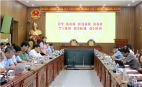 Bình Định: Thống nhất công nhận 9 xã đạt chuẩn NTM, NTM nâng cao và NTM kiểu mẫu đợt 2 năm 2024