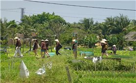 Lão nghệ nhân 
