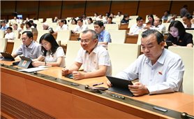 Sửa đổi các luật về quân sự, quốc phòng để phù hợp với tổ chức chính quyền địa phương 2 cấp