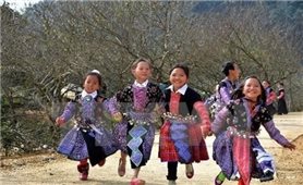 Những tiến bộ rõ nét trong nỗ lực chấm dứt lao động trẻ em trái pháp luật
