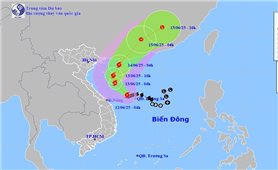 Bão số 1 mạnh lên, giật tới cấp 13