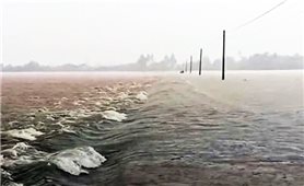 Quảng Ngãi chủ động ứng phó với mưa lớn, sạt lở đất