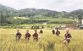 Tìm “điểm tựa” cho những nghệ nhân “giữ lửa” di sản