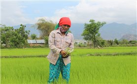 Thuận Bắc thực hiện tốt Dự án 1 Chương trình mục tiêu quốc gia 1719