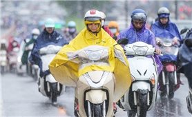 Khả năng xuất hiện bão, áp thấp nhiệt đới trong tháng 6