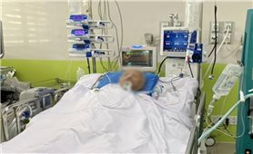 7 ca nhập viện vì nắng nóng